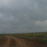 Sample video frames from Nairobi National Park (left, center) and Ruma National Park (right)