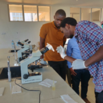 Taking images of stained blood smear